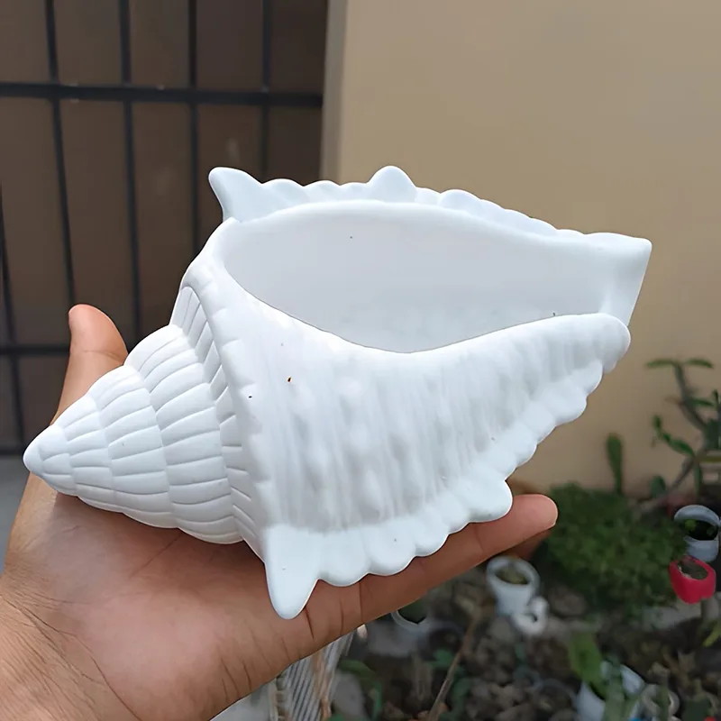 DIY 3D Conch รูปซิลิโคนเทียนแม - Potsticker Mold บทวิจารณ์และราคา
