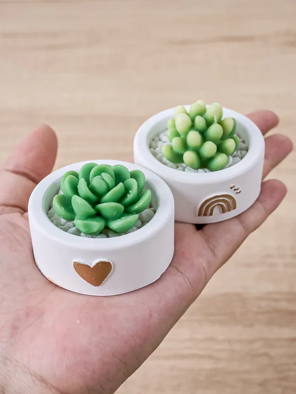 รอบเทียนถ้วยผู้ถือแม่พิมพ์ซิลิ - Potsticker Mold บทวิจารณ์และราคา